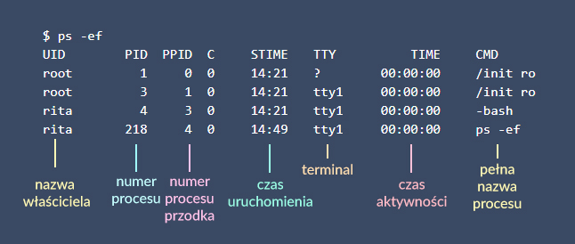 PS - komendy linux kurs