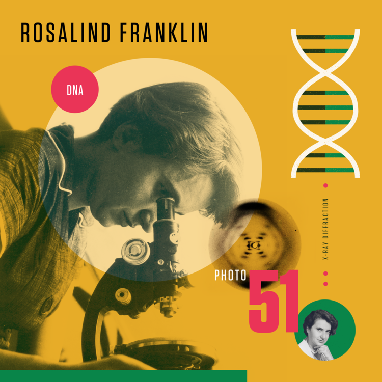 Rosalind Franklin niezwykła historia jednego zdjęcia